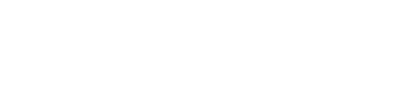 The Nimble Nerd white logo